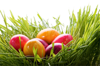 OSTERN BEI KAWIKIDS